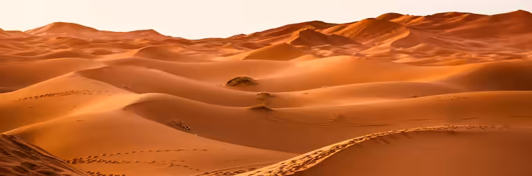 Ägypten_Wüste